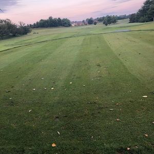 Meet your Posher, Sammy